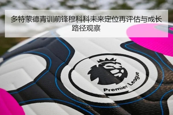 多特蒙德青训前锋穆科科未来定位再评估与成长路径观察