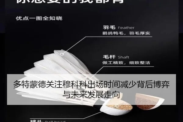 多特蒙德关注穆科科出场时间减少背后博弈与未来发展走向